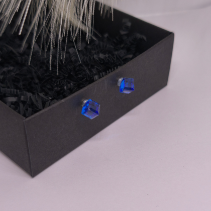 Magnetilised kõrvarõngad „Kuninglik safiir“