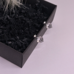 Magnetilised kõrvarõngad „Jääkristallid“