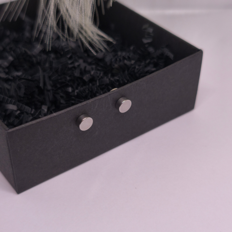 Magnetilised kõrvarõngad „Terasetäpp“