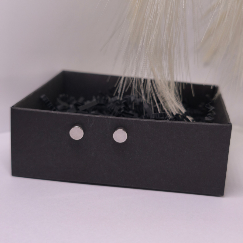 Magnetilised kõrvarõngad „Terasetäpp“