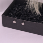 Magnetilised kõrvarõngad „Terasetäpp“