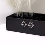 Kõrvarõngad - klambrid „Ööõied“