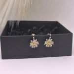 Kõrvarõngad - klipid "Päikeseline elegants"