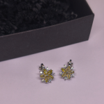 Kõrvarõngad - klipid "Päikeseline elegants"