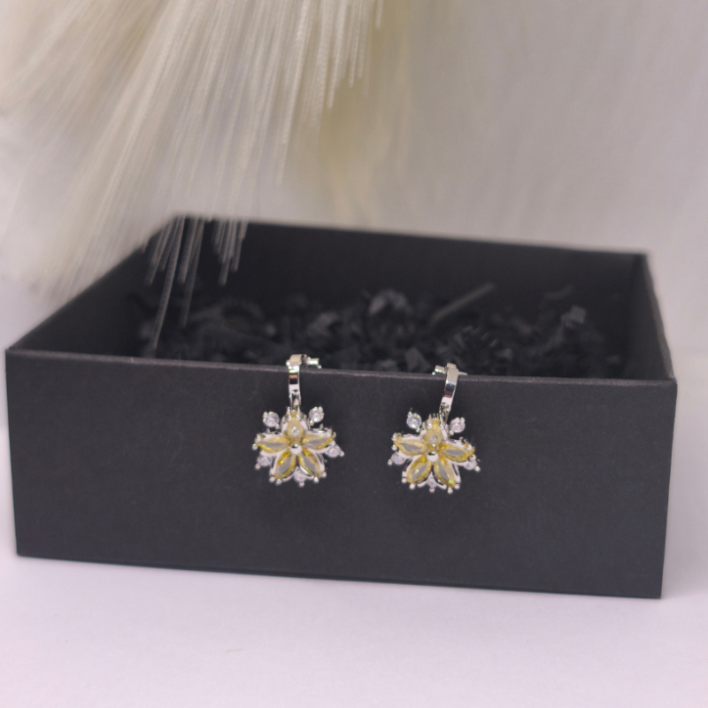 Kõrvarõngad - klipid "Päikeseline elegants"