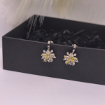 Kõrvarõngad - klipid "Päikeseline elegants"