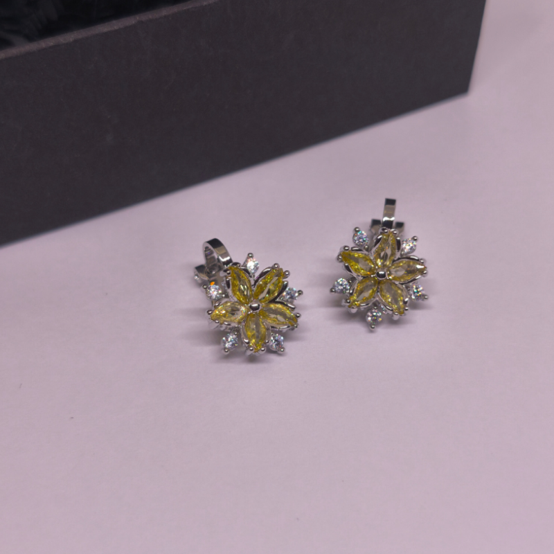 Kõrvarõngad - klipid "Päikeseline elegants"