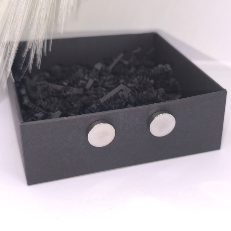 Suured magnetkõrvarõngad „Modernne klassika“