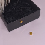 Magnetilised kõrvarõngad „Kuldne punkt“