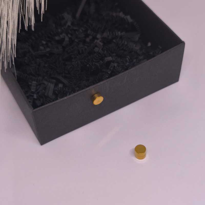 Magnetilised kõrvarõngad „Kuldne punkt“