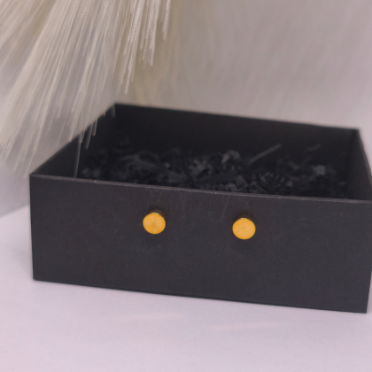 Magnetilised kõrvarõngad „Kuldne punkt“