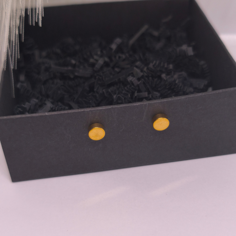 Magnetilised kõrvarõngad „Kuldne punkt“