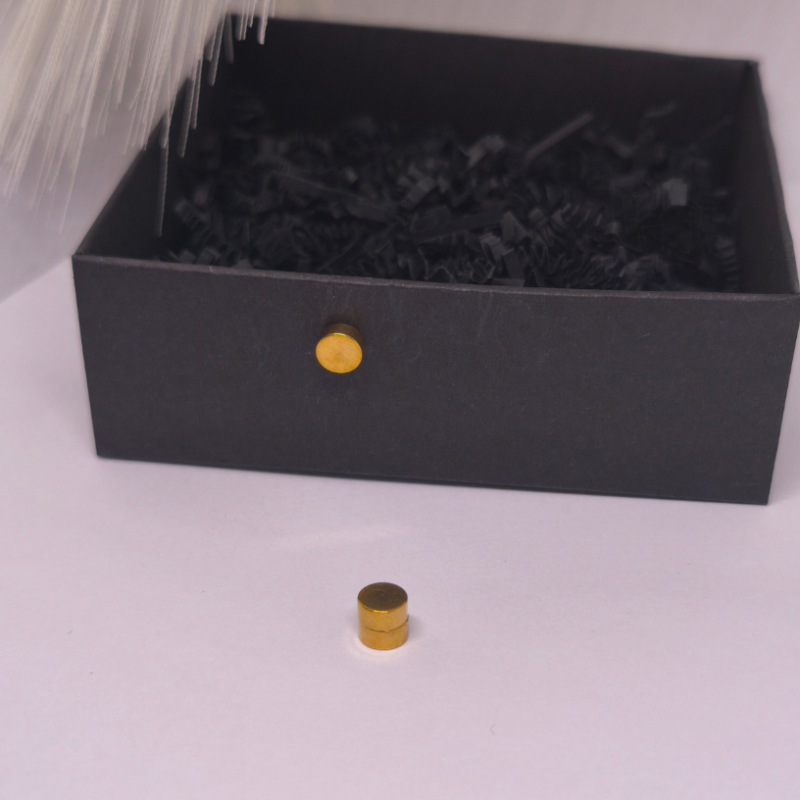 Magnetilised kõrvarõngad „Kuldne punkt“