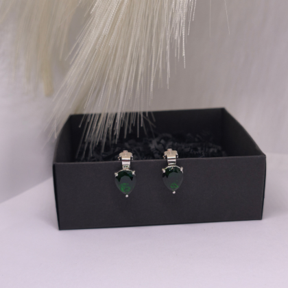 Kõrvarõngad – klipid „Rohelised tilgad“