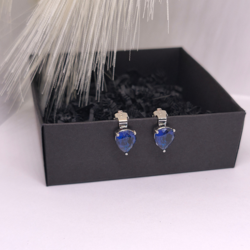 Kõrvarõngad – klambrid „Safiiritilk“