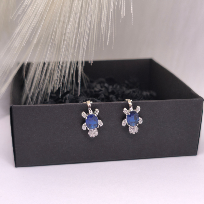 Kõrvarõngad – klipid „Ookeani valvur“