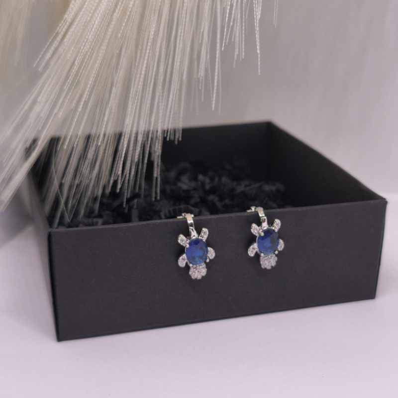 Kõrvarõngad – klipid „Ookeani valvur“