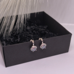 Kõrvarõngad - klambrid "Virmalised"